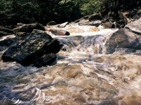 Moving vs Stagnating     Read Hebrews&nbsp;12:1-12