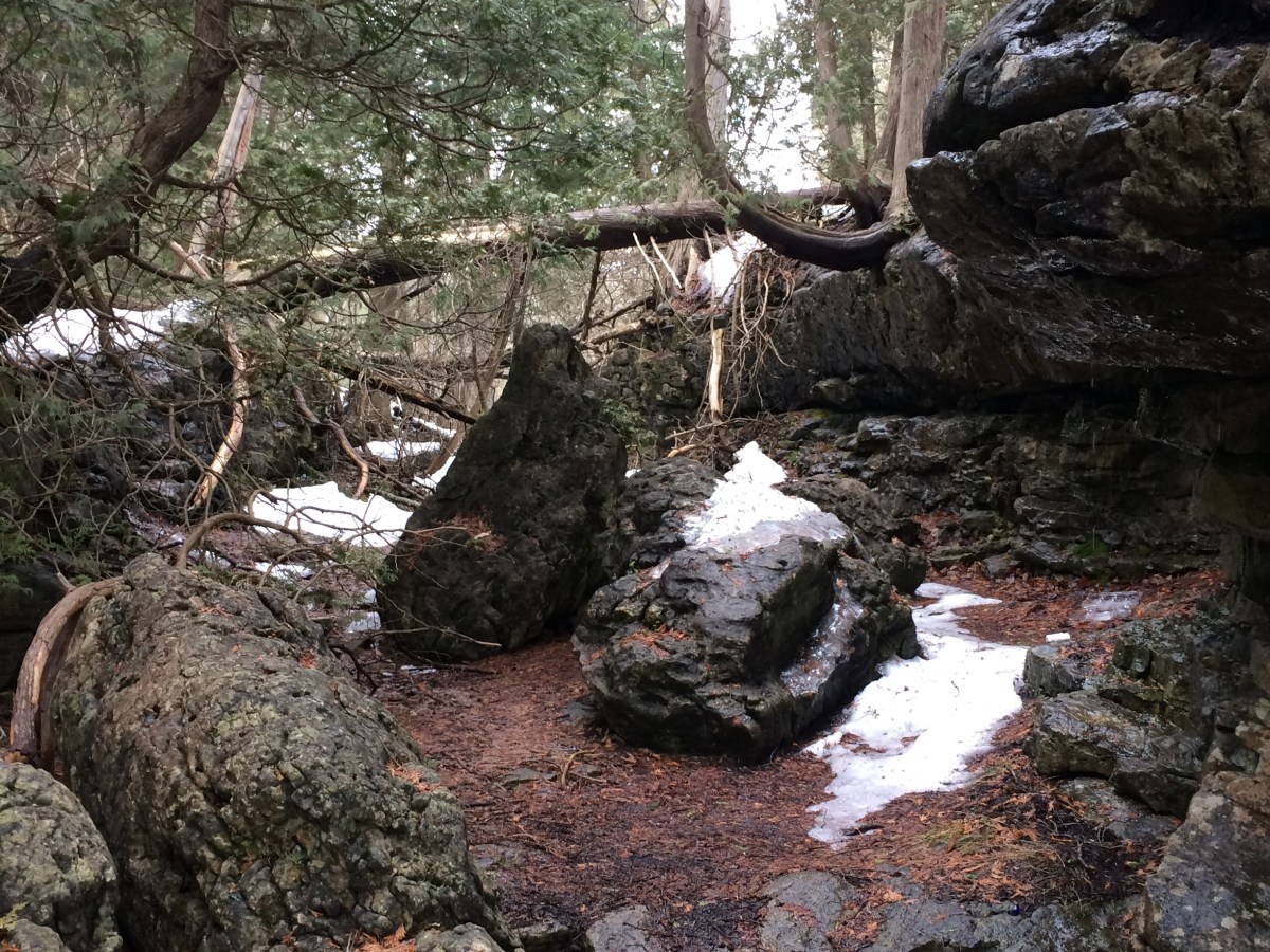 Read Psalm 143: Guidance for those who are in&nbsp;despair