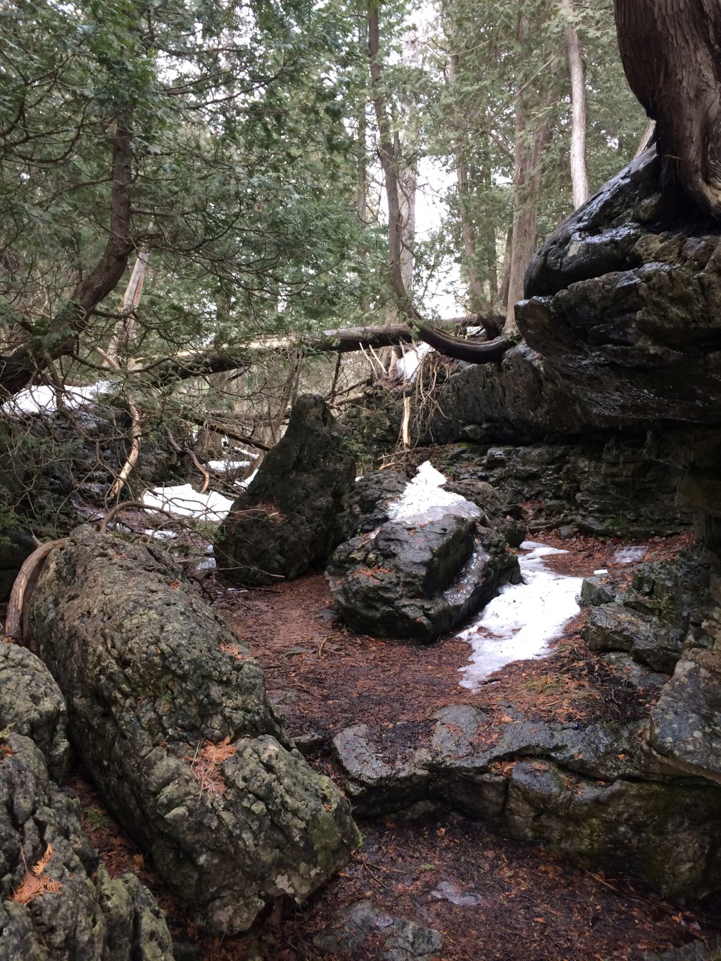 Read Psalm 143: Guidance for those who are in&nbsp;despair