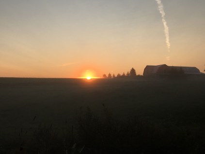 IMG_4305