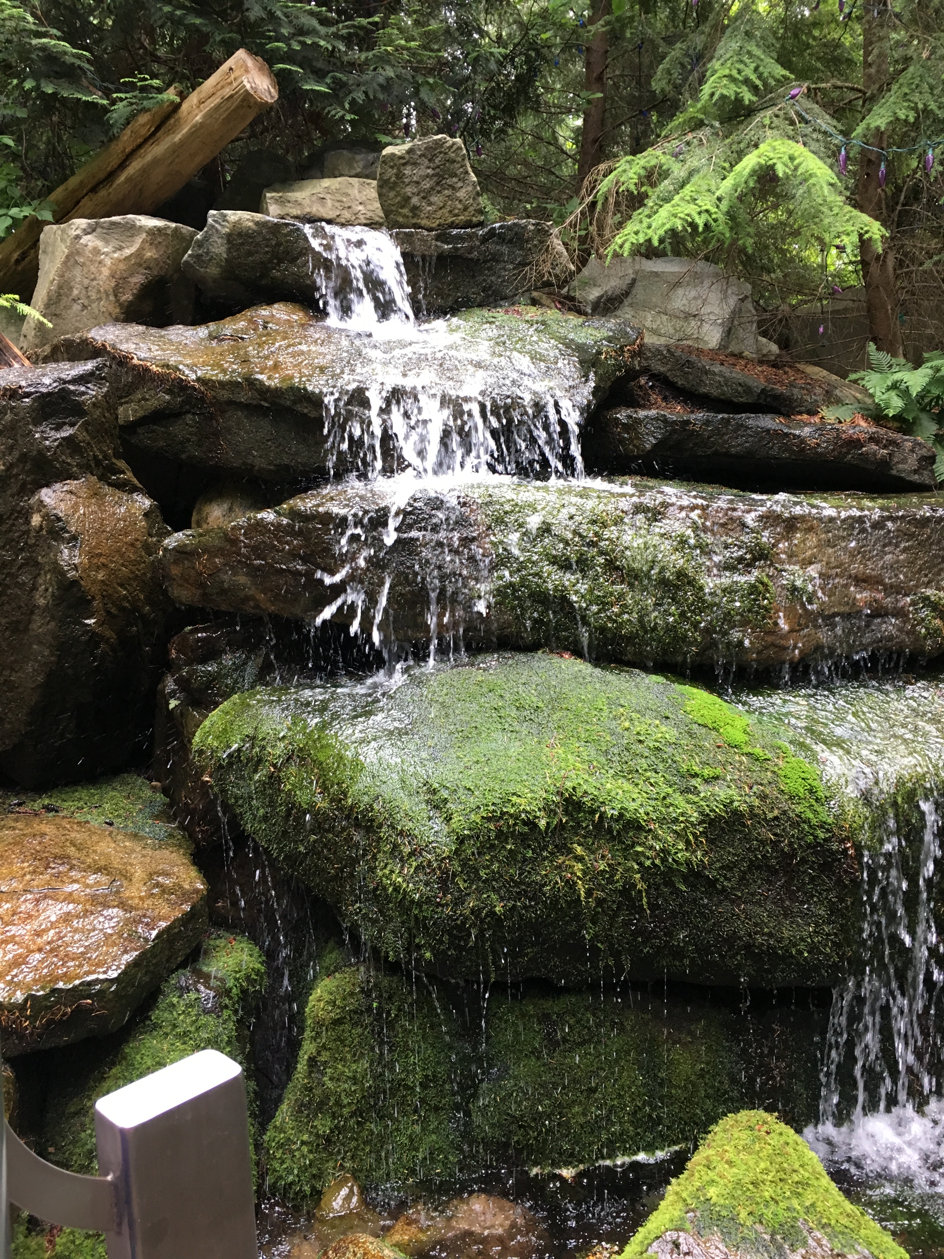 Christian Contemplative Journey
