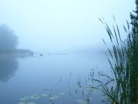 Read John 21:15-19  Part 2 A&nbsp;Recommissioning