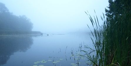 Read John 21:15-19  Part 2 A&nbsp;Recommissioning