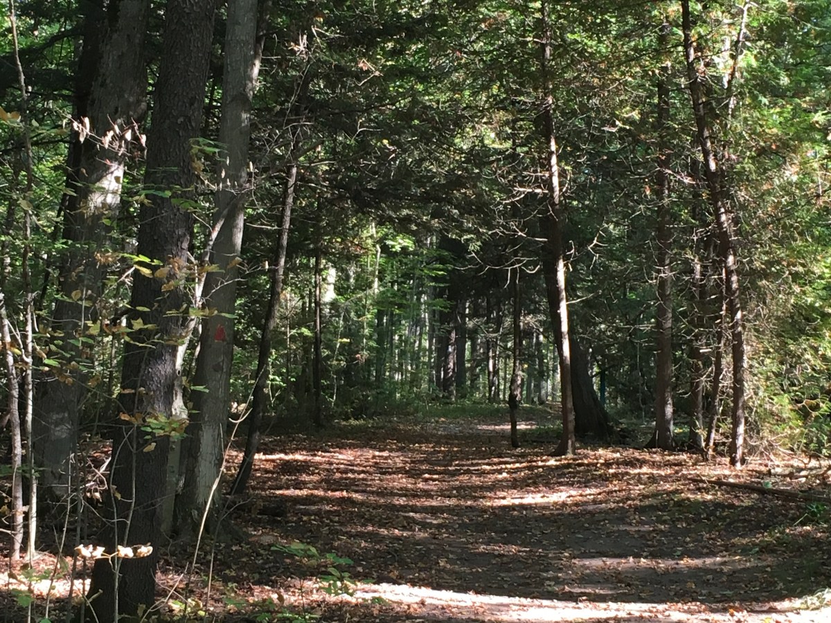 Read Psalm 91: Dangers on the path&nbsp;ahead
