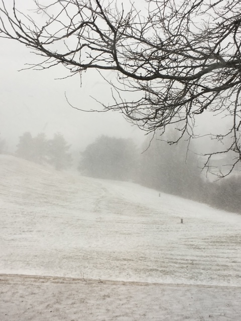WINTER IS COMING: Read Psalm 1