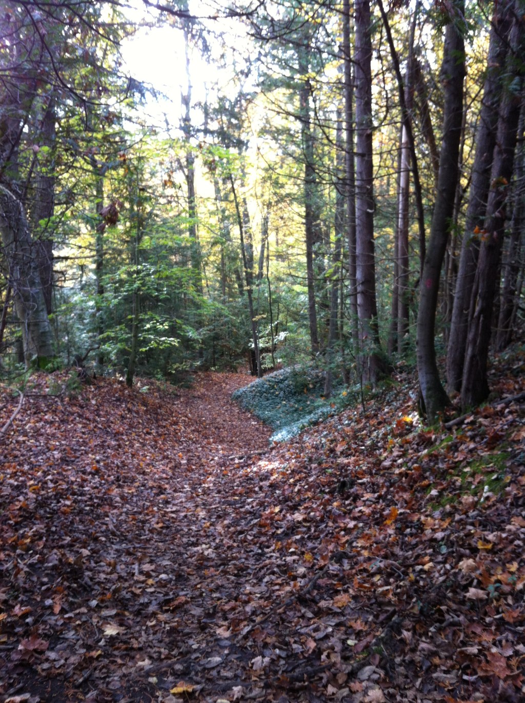 Finding God in Nature